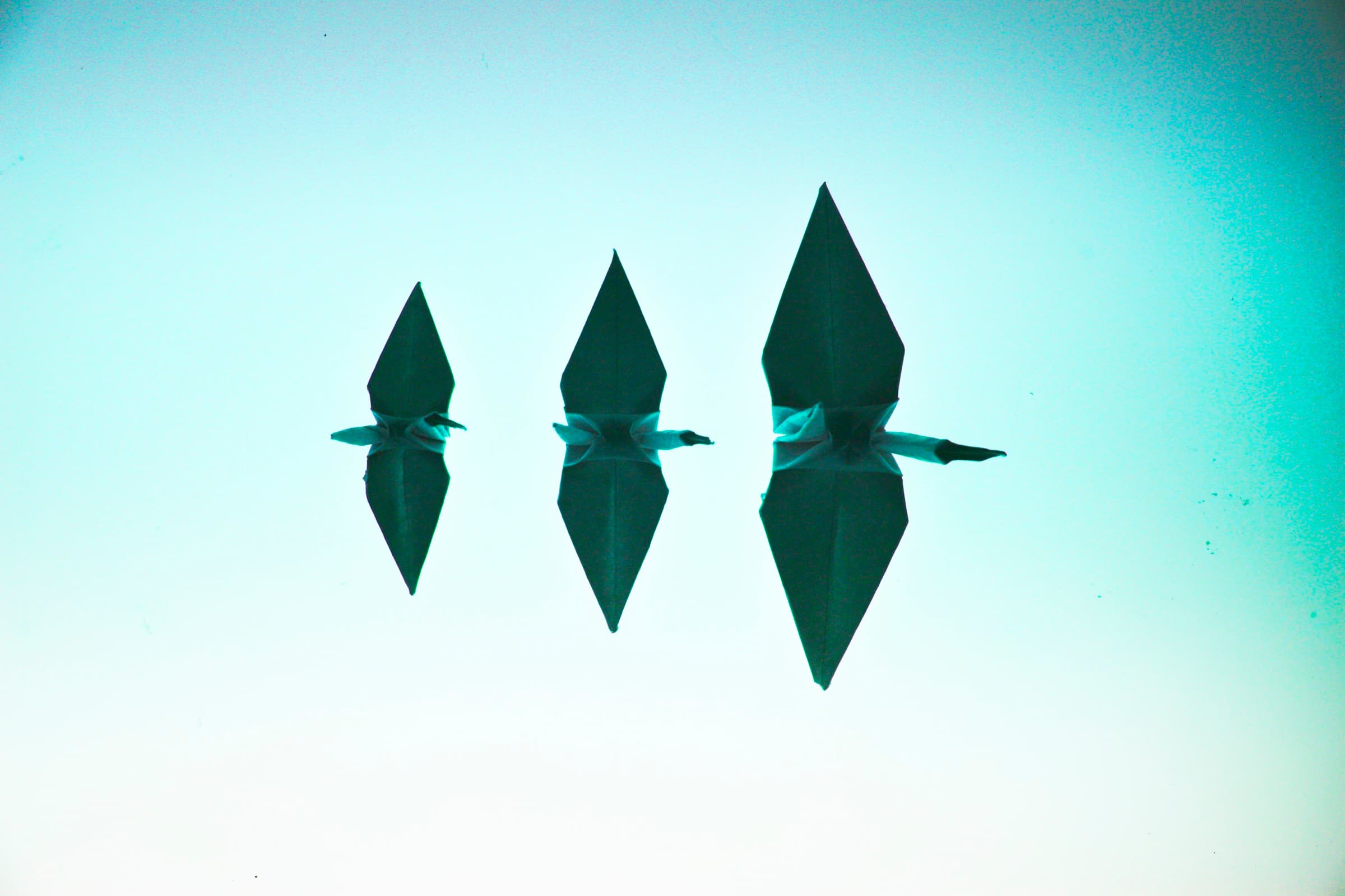 Archival print of origami cranes, 3 of 3