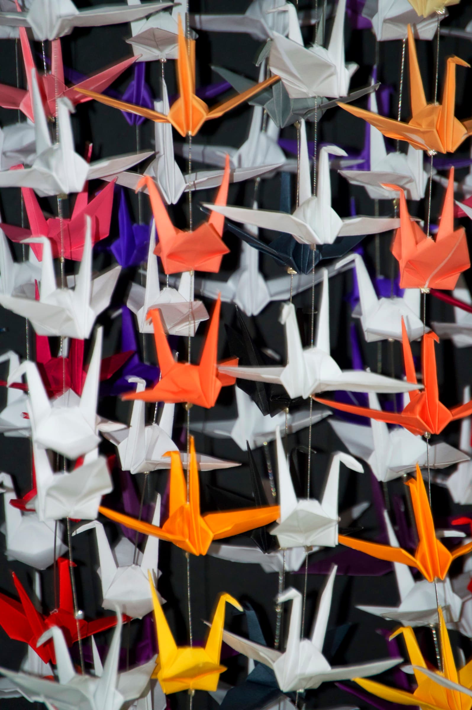 Assemblage of paper cranes, photograph 1 of 2