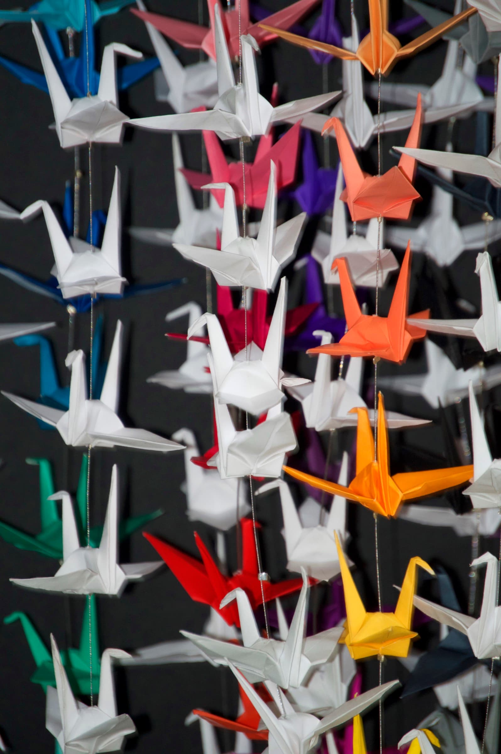 Assemblage of paper cranes, photograph 2 of 2
