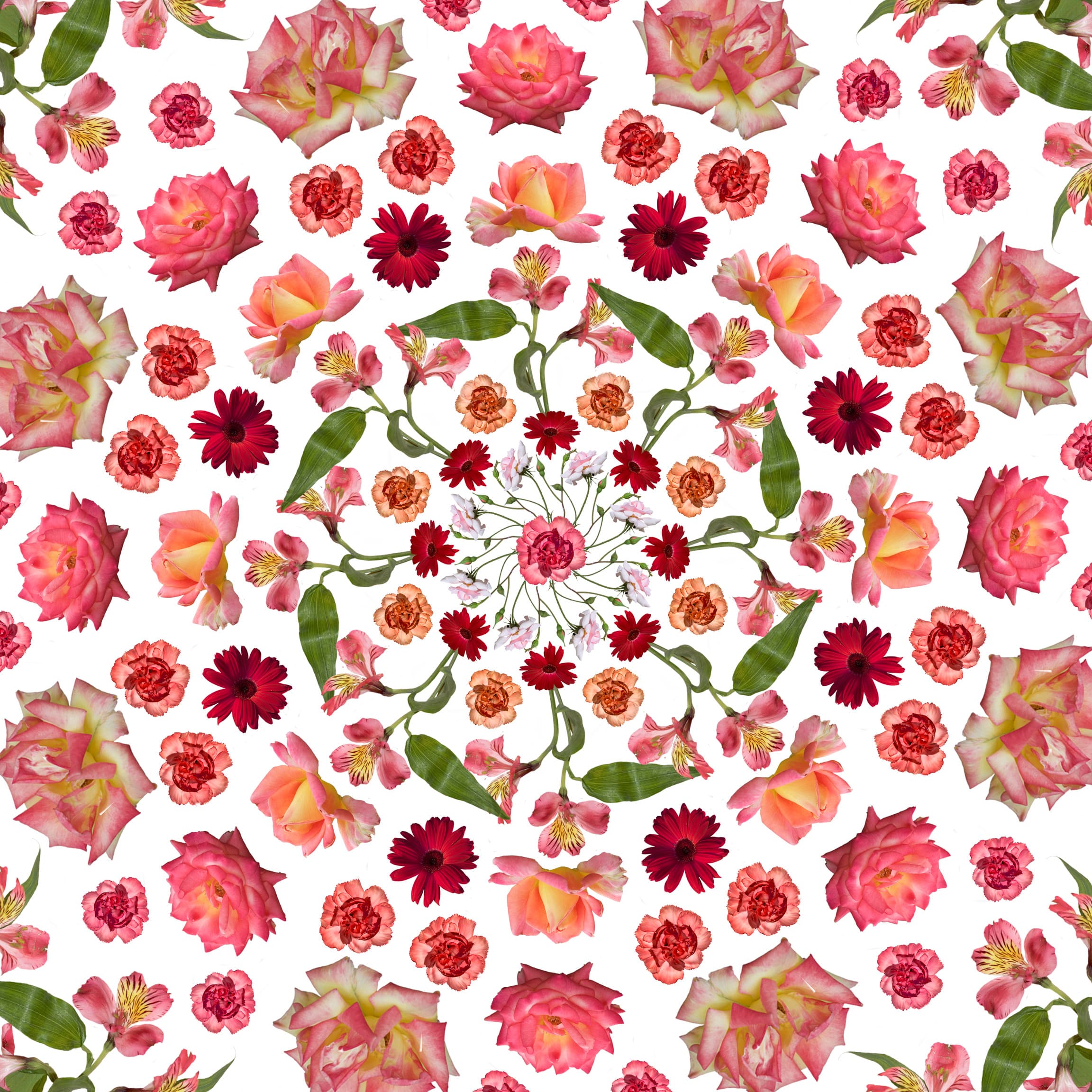 Kaleidoscope Blooms: augmented reality flower photography